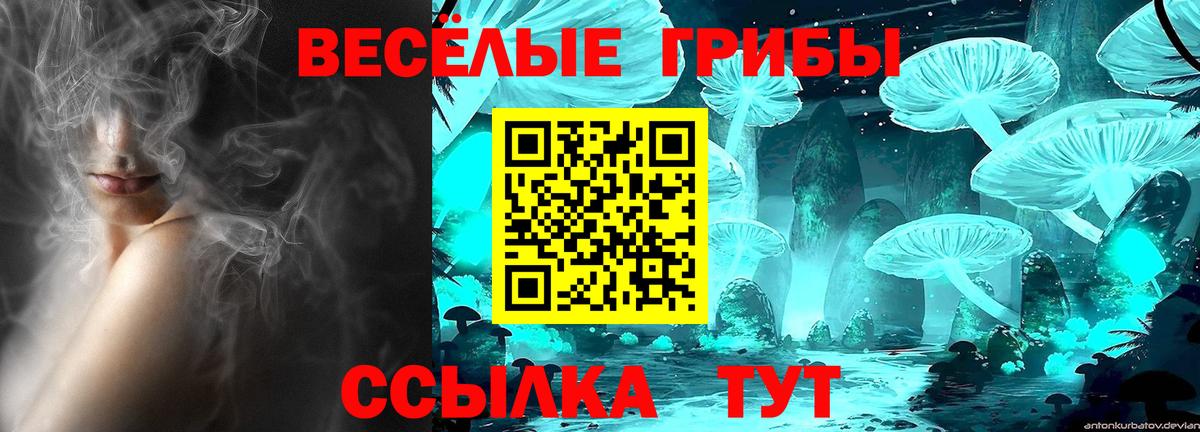 Йошкар-Ола  Галлюциногенные грибы мухоморы  Галлюциногенные грибы MAGIC MUSHROOMS  Вход с VPN 